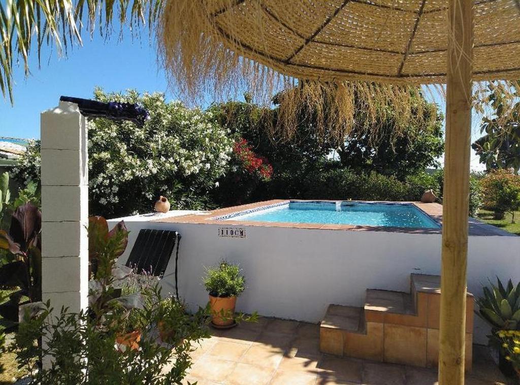 einen Hinterhof mit Pool und Sonnenschirm in der Unterkunft Villa de Limones in Chiclana de la Frontera