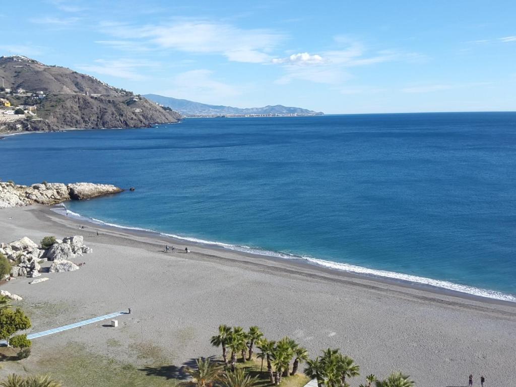 - une vue sur la plage bordée de palmiers et l'océan dans l'établissement Ap velilla, à Almuñécar