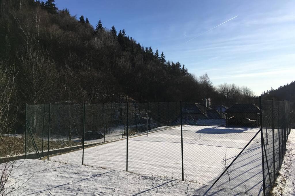 Villa Vykmanov v zimě