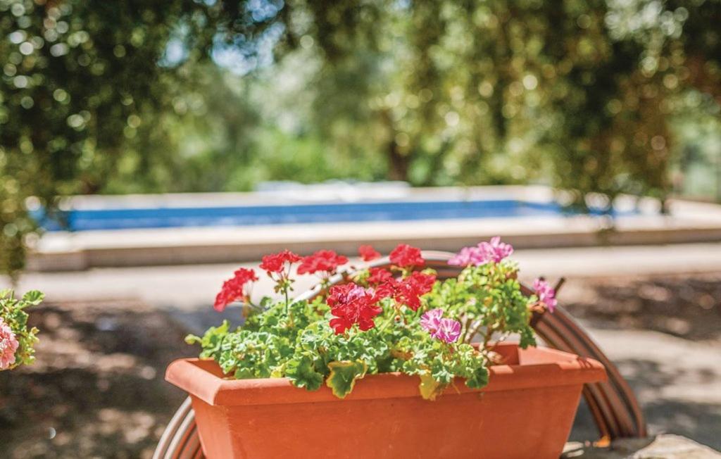a pot of flowers sitting on top of a bench at InmoBooking Family House Holidays in Riudoms