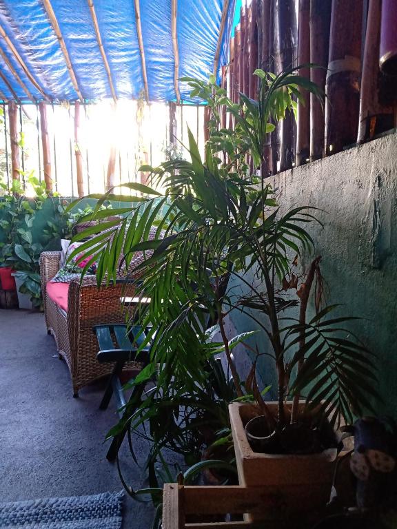 Fotografie z fotogalerie ubytování Hostel FreeWay v destinaci Brasília