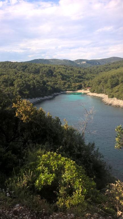 Fotografie z fotogalerie ubytování Planika Apartments 2 v destinaci Korčula