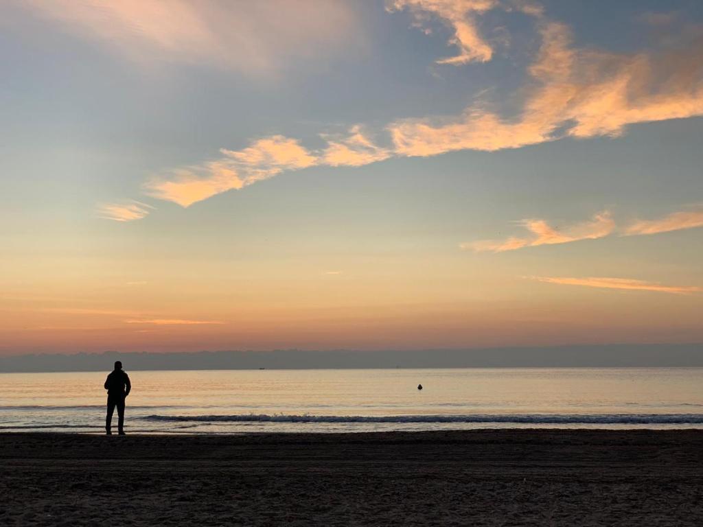 Playa de San Juan ALICANTE, Alicante – Updated 2023 Prices
