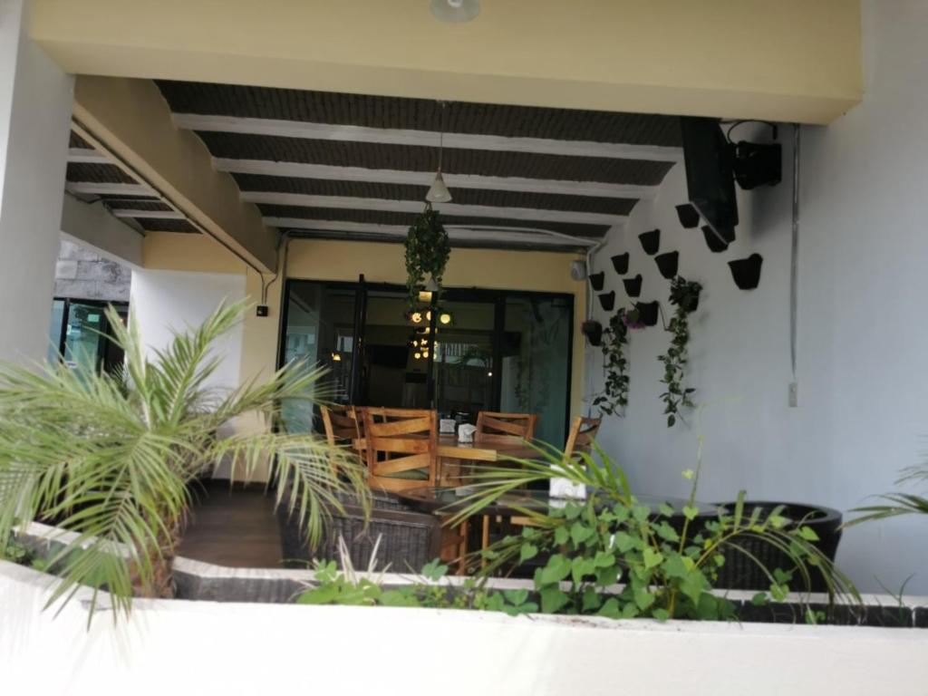 Imagen de la galería de Venados Inn, en Mazatlán