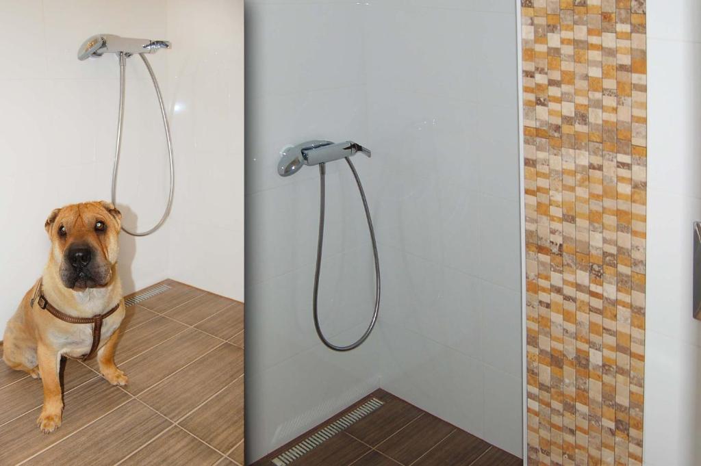 Kúpeľňa v ubytovaní Apartman Solisko