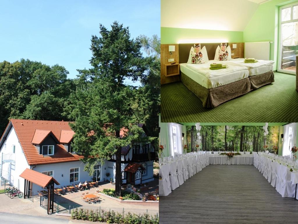 un collage di tre foto di una casa di Hotel Zur Waldhufe a Doberlug-Kirchhain