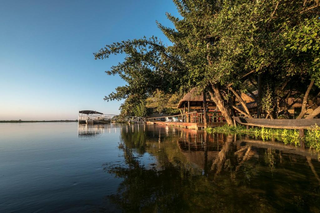 un gran cuerpo de agua con una casa y un árbol en Zambezi Mubala Campsite, en Katima Mulilo