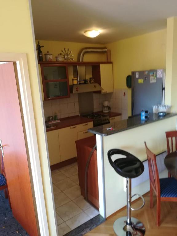 Kuchyňa alebo kuchynka v ubytovaní Apartman Stanić