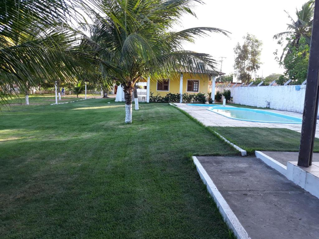 un patio con una palmera y una piscina en Casa de 4 quartos á 6Km da praia de Lagoinha-ce, en Camboa