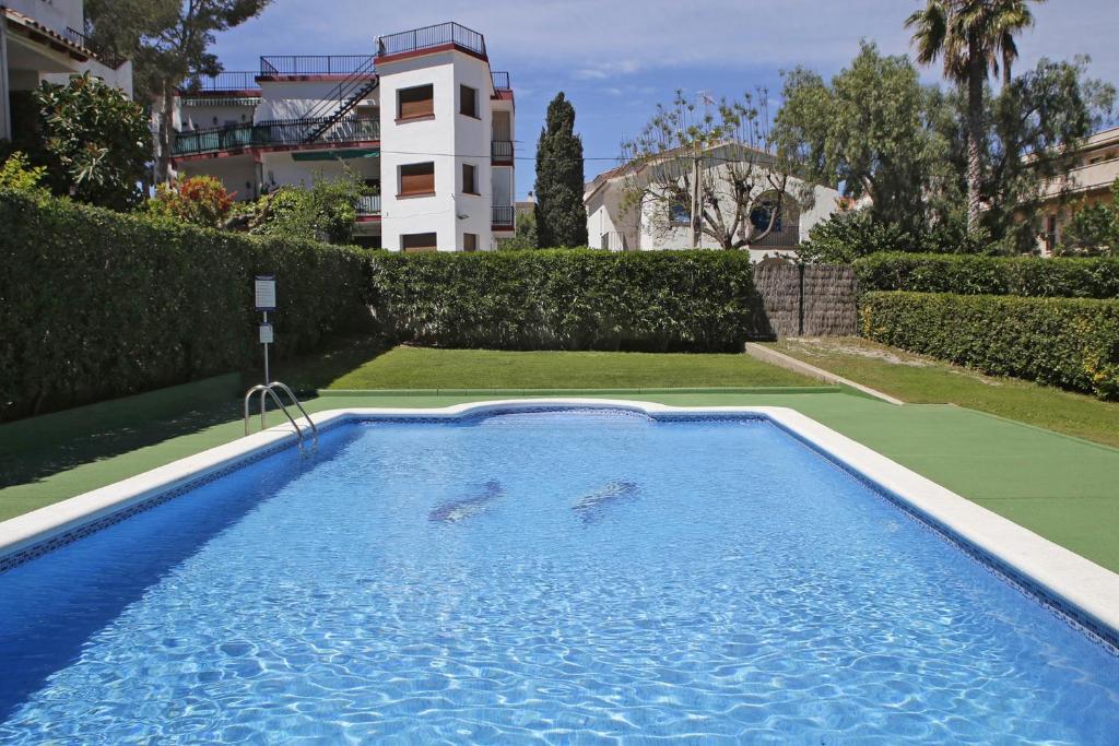 twee dolfijnen zwemmen in een zwembad in een huis bij AT044 Els Porxos in Torredembarra