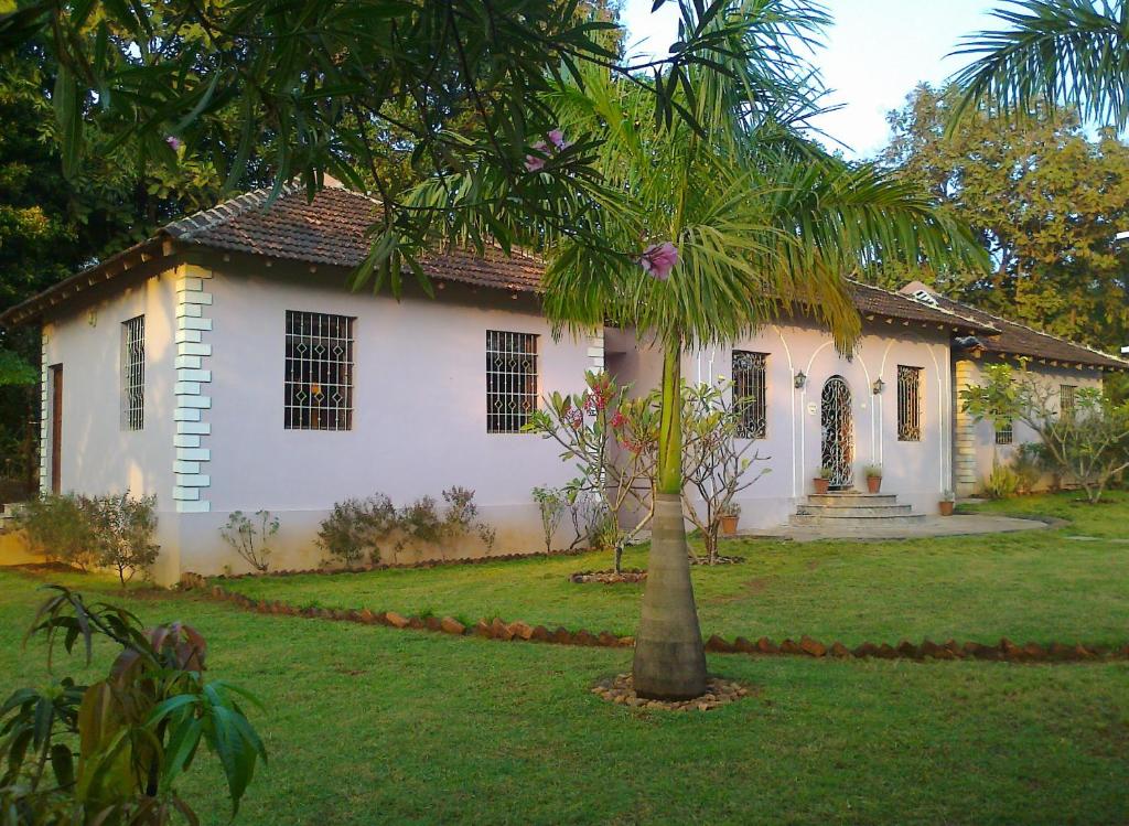 una casa bianca con una palma di fronte di Avalon Inn a Mandrem
