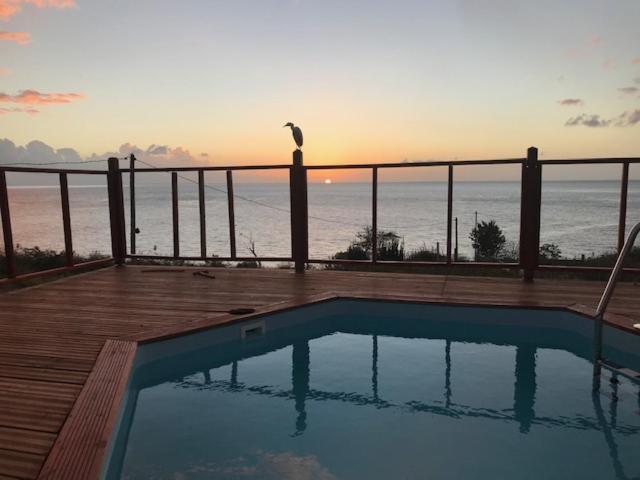 a bird sitting on a fence next to a swimming pool at Bungalow Mathilde Bis- Non fumeur in Bouillante