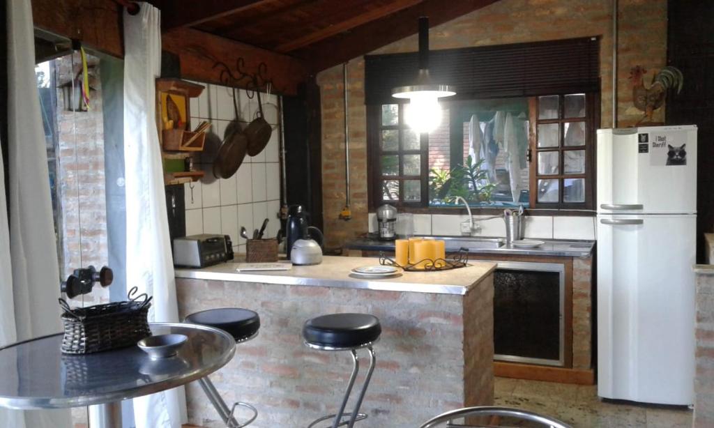  Vitro Loft