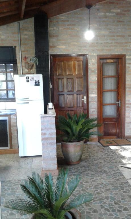  Vitro Loft