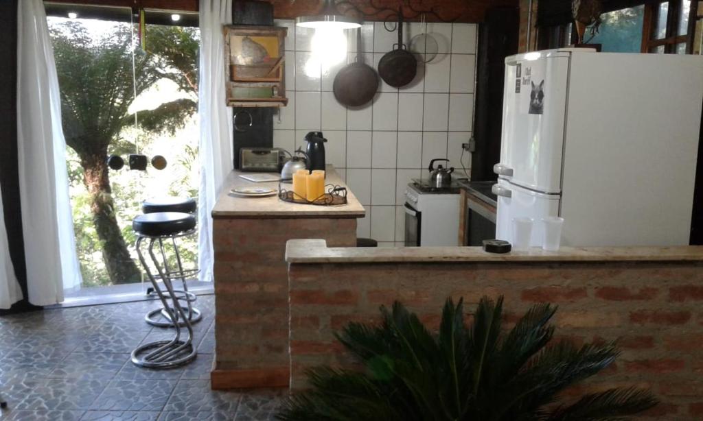  Vitro Loft