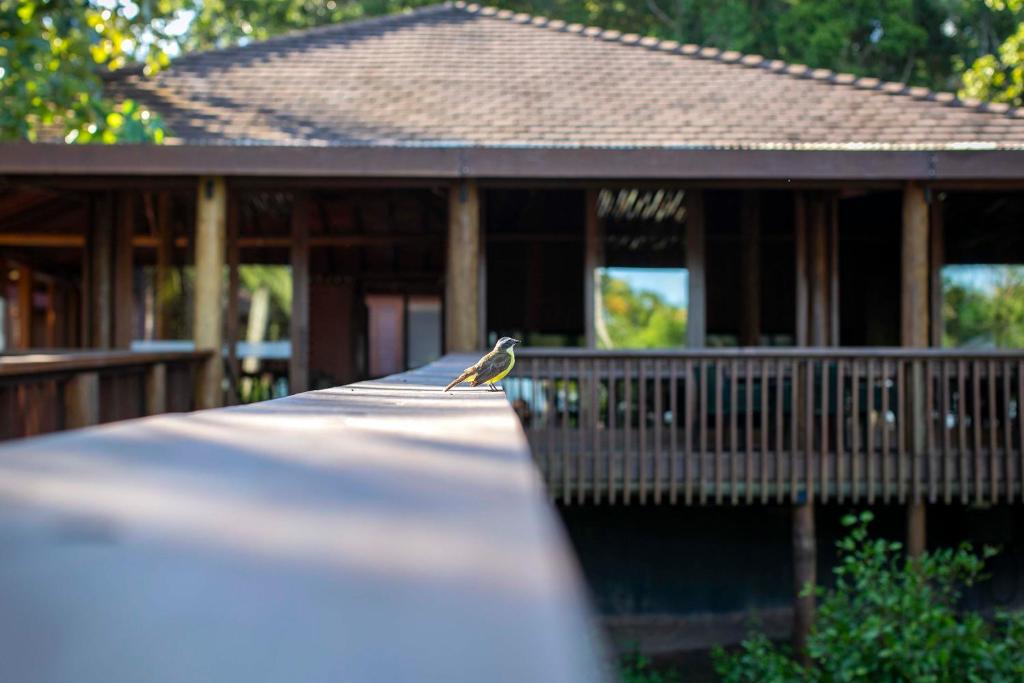  Kûara Hotel