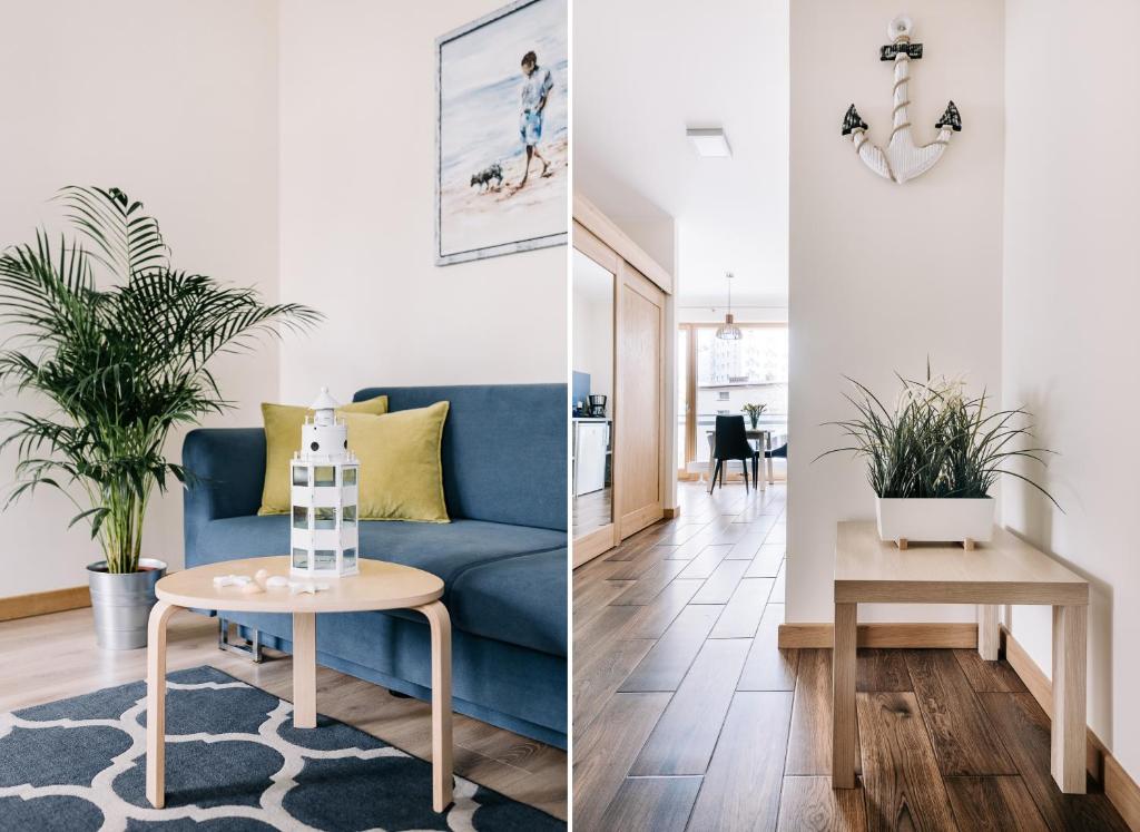 Apartamenty Maestro - 10