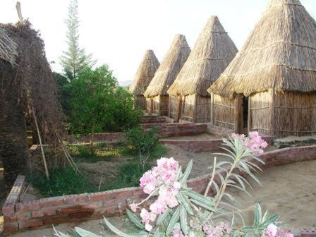 a group of huts with flowers in front of them at Badry Sahara Camp in Bawiti