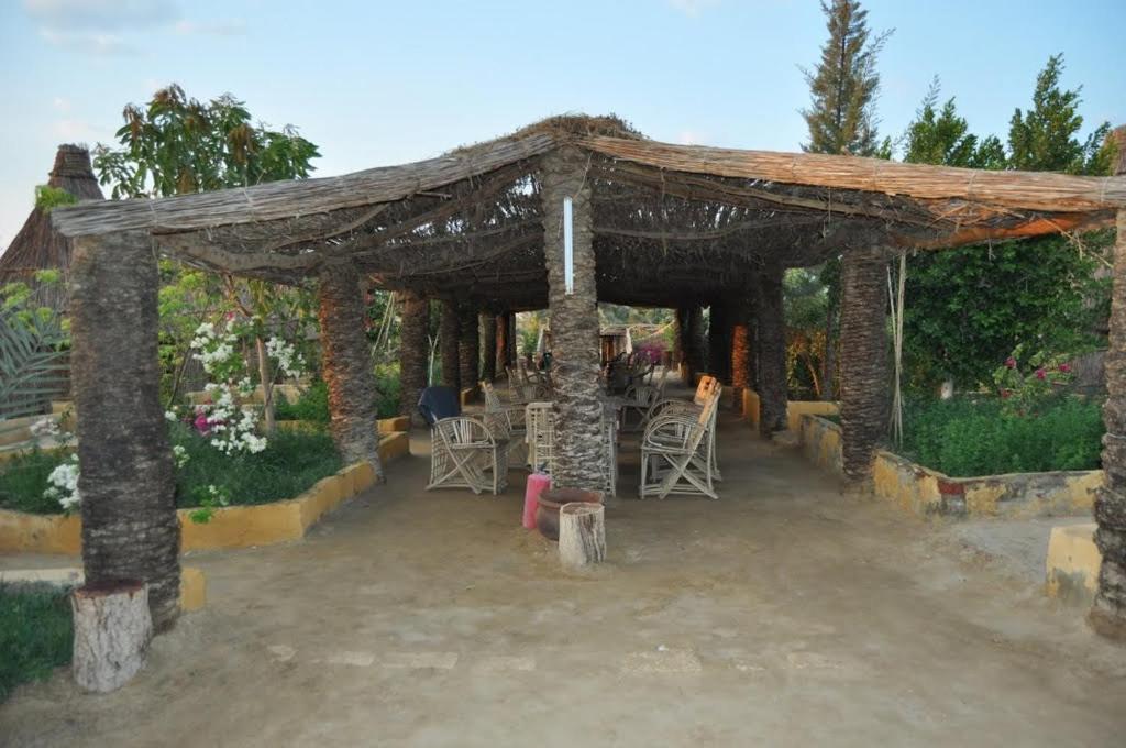 Zahrada ubytování Badry Sahara Camp