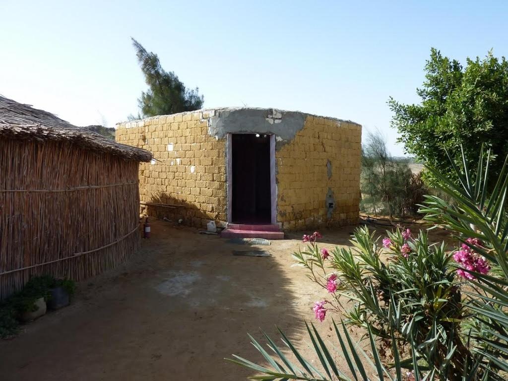 Zahrada ubytování Badry Sahara Camp