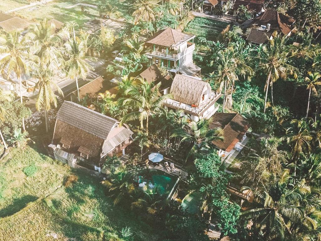 Un jardín fuera de Junjungan Suite