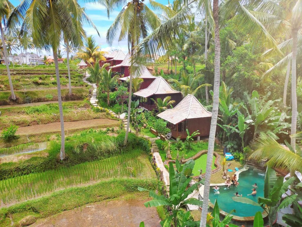 ein Luftblick auf ein Resort mit einem Pool und Palmen in der Unterkunft Junjungan Suite in Ubud