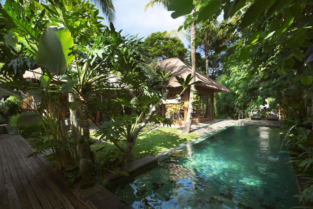 a swimming pool in front of a house with trees at Luwak Estate in Ubud