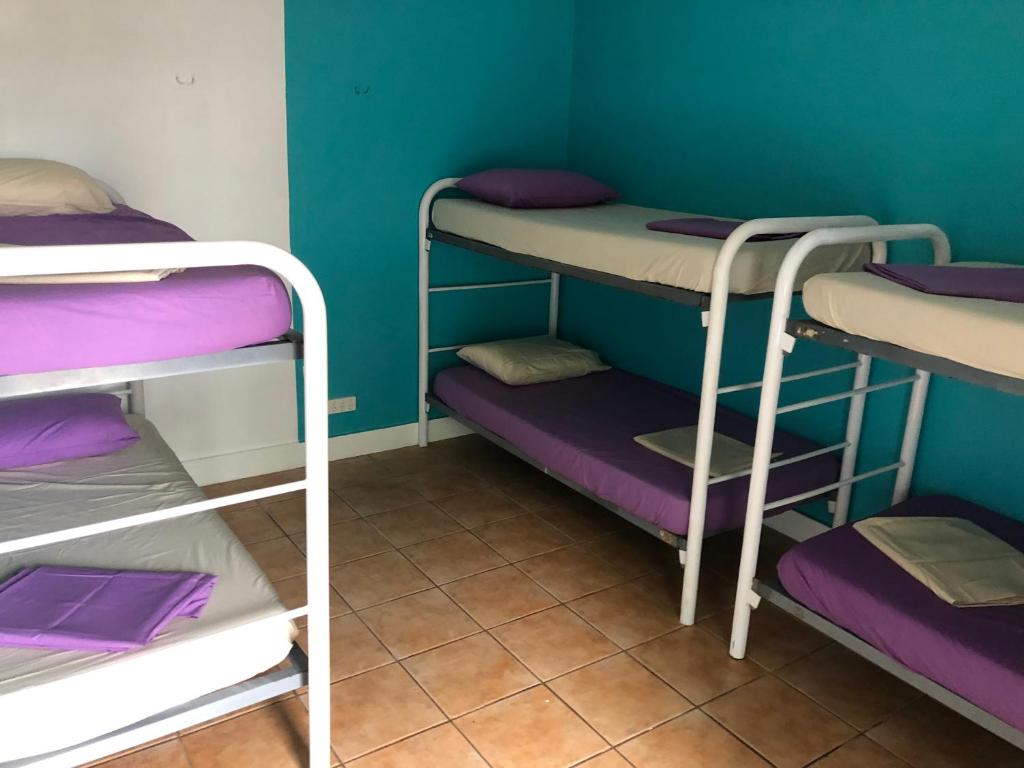 Darwin Hostel emeletes ágyai egy szobában