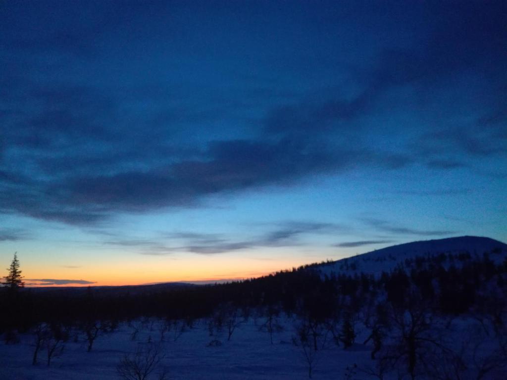 Villa Kaltio - One-Bedroom Apartment