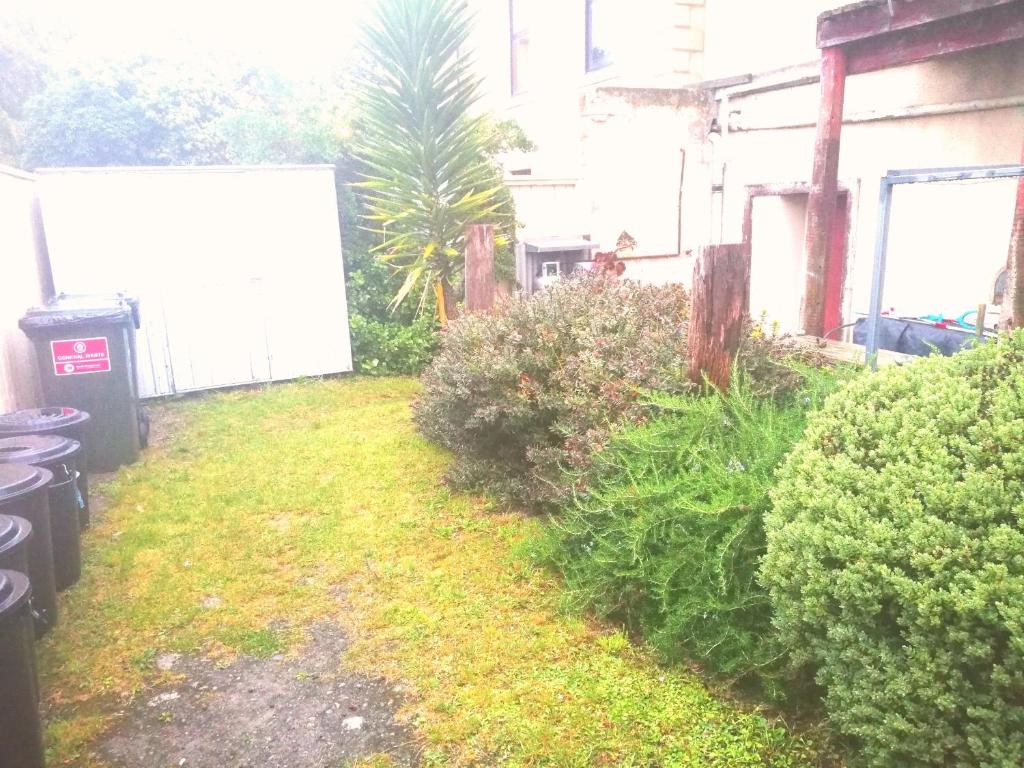 Empire Hotel Backpackers - Resim 22