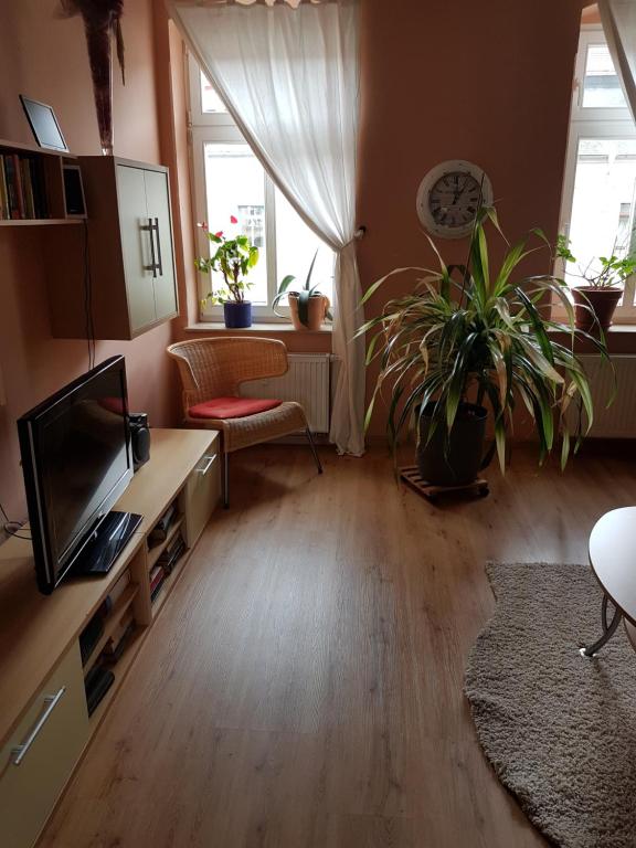 een woonkamer met een flatscreen-tv en een bank bij Kleine gemütliche Ferienwohnung in Dresden
