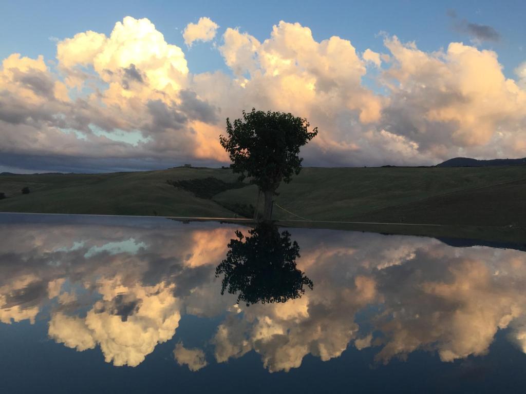 カスティリオーネ・ドルチャにあるPodere San Pasqualeの雲の空と木の反射