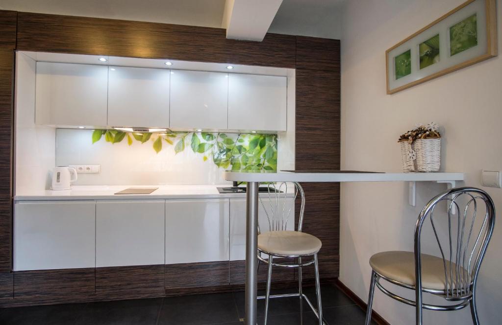 Kuchyňa alebo kuchynka v ubytovaní Prestige Apartamenty Stara Polana & SPA2