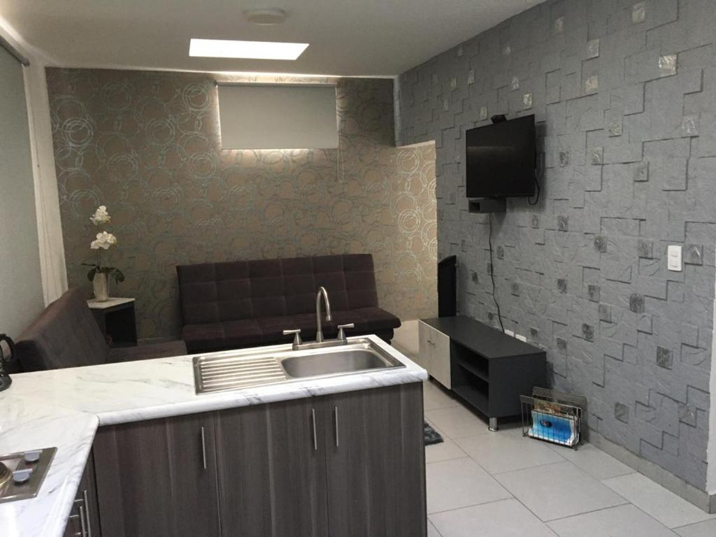 阿瓜斯卡連特斯的住宿－Suites André Confort Ejecutivo，一个带水槽的厨房和一间客厅
