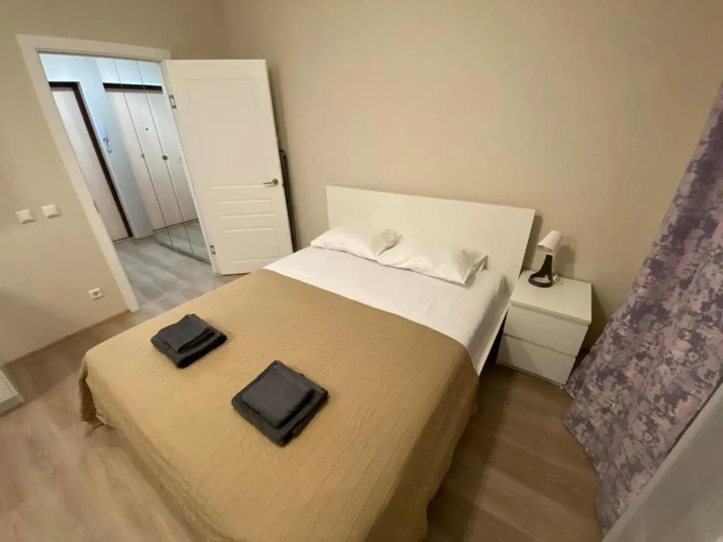 Suite Flat Pulkovo, Kudrovo, Russia