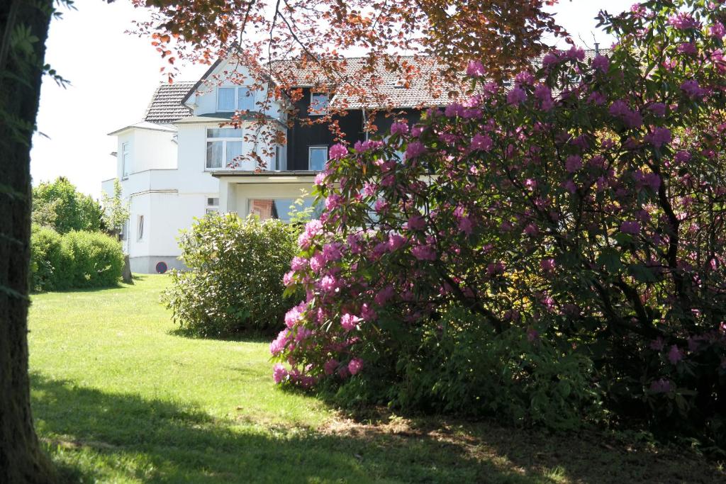 uma casa com flores roxas em frente em Berghotel HARZ em Hahnenklee-Bockswiese