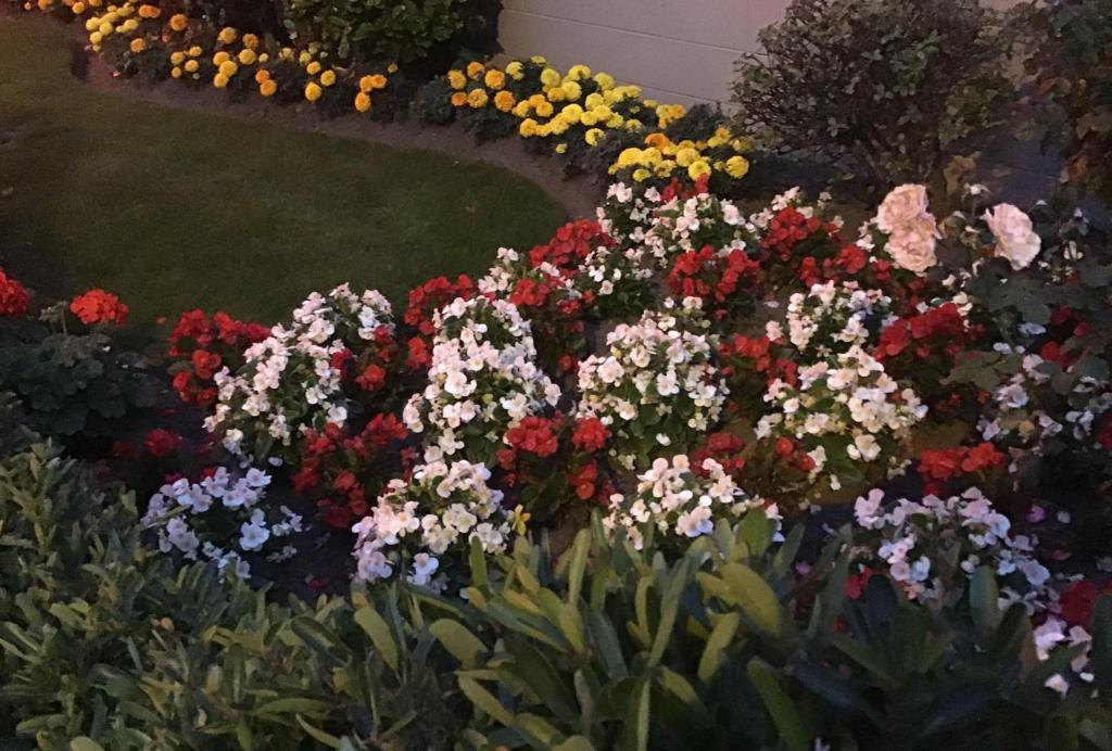 Avon City Motel - Resim 23