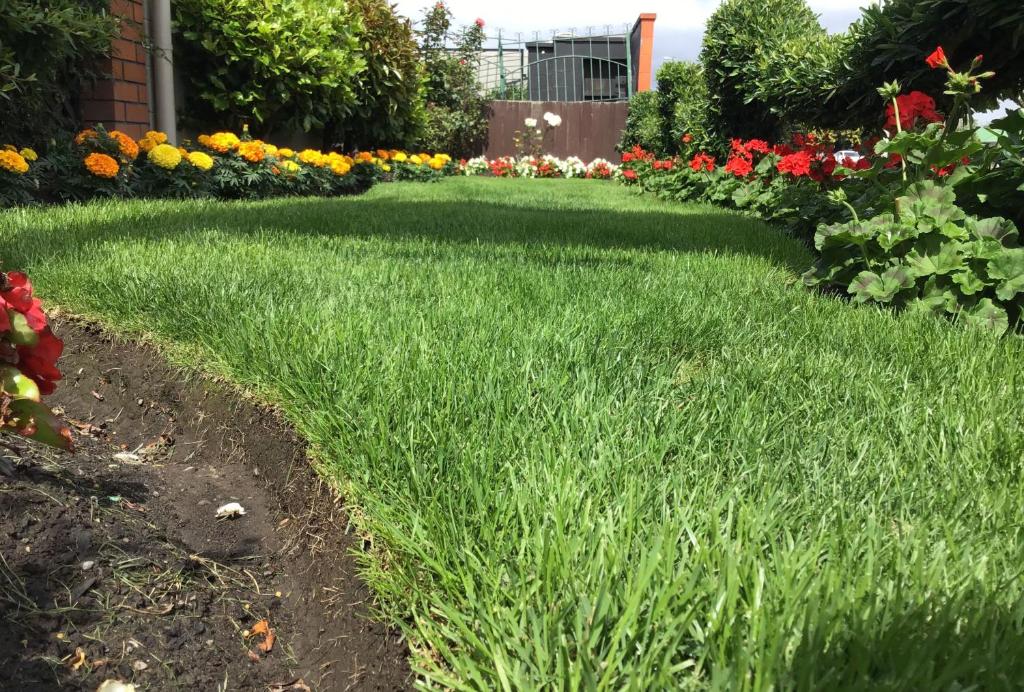 Avon City Motel - Resim 25