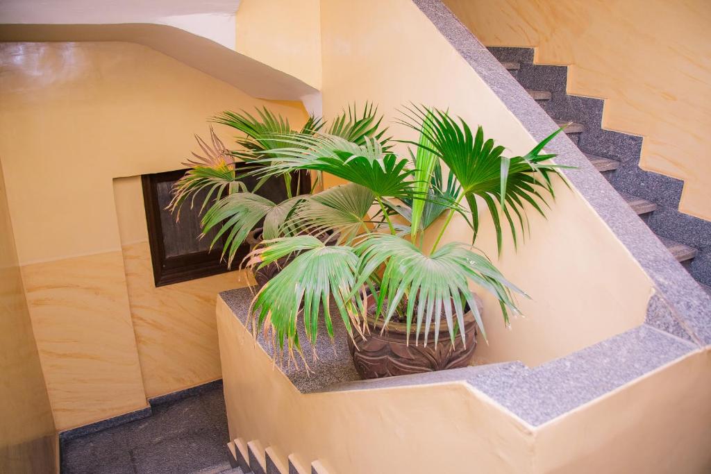Fotografie z fotogalerie ubytování Guardian Guest House v Káhiře