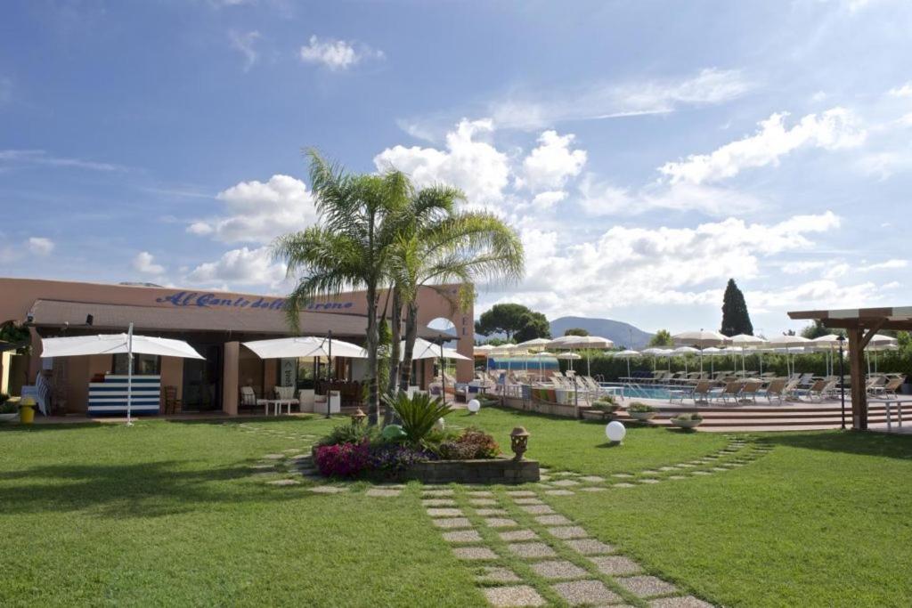 un complexe avec un palmier et une piscine dans l'établissement Hotel Ristorante Al Canto delle Sirene, à Terracine