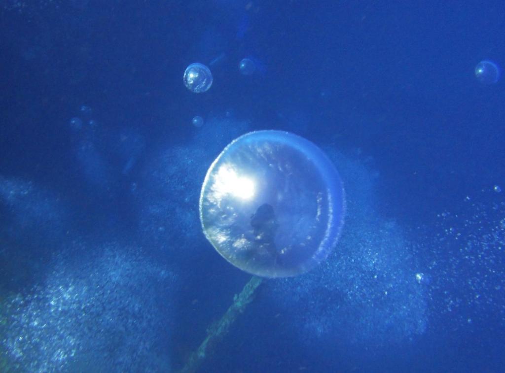 Fotografie z fotogalerie ubytování Red Sea Dive Center v destinaci Aqaba