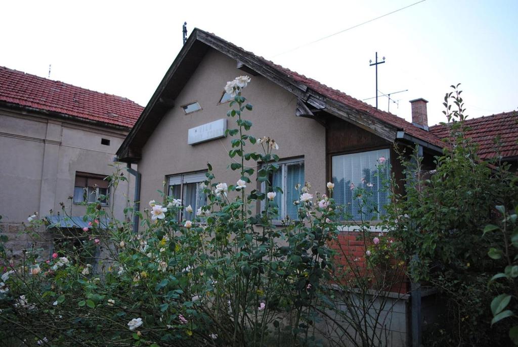 een huis met bloemen ervoor bij Vila Happy Story in Knjazevac.