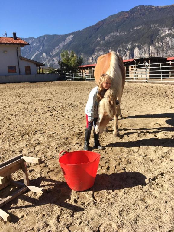 Hosté ubytování B&B Margit's Ranch Urlaub am Pferdehof