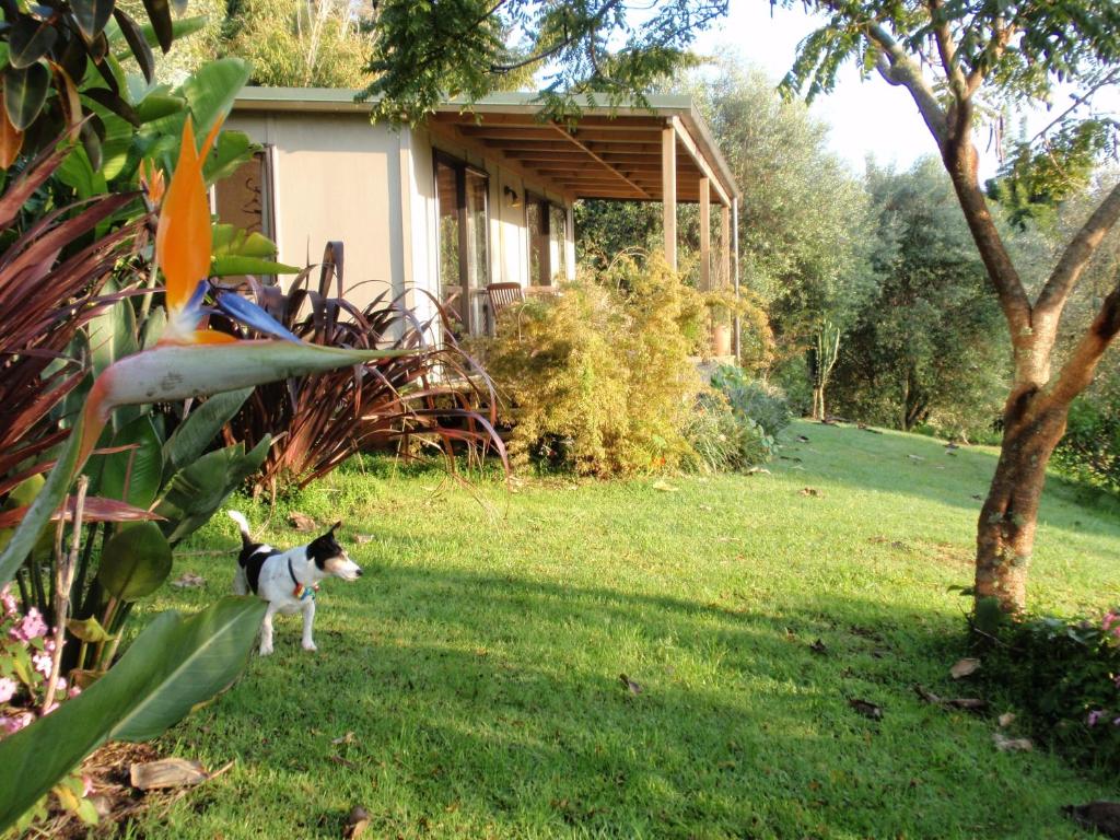 Zahrada ubytování Wharepuke Subtropical Accommodation