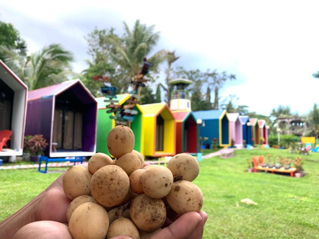 Fotografie z fotogalerie ubytování Lanzones Cabana v Mambajau