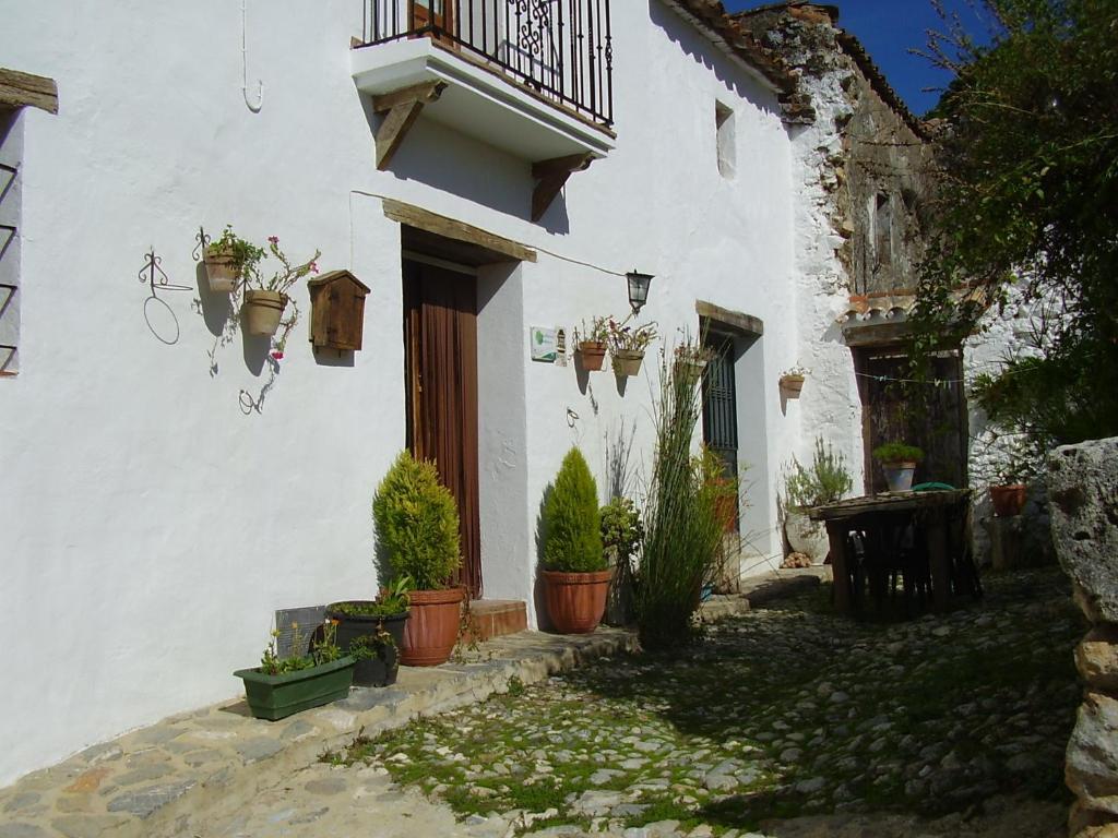 a white building with potted plants and a balcony at Casa El Menúo in Parauta
