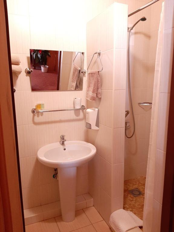 Koupelna v ubytování garni Hotel ASAS***