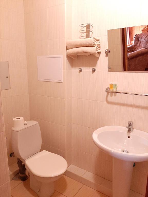 Koupelna v ubytování garni Hotel ASAS***