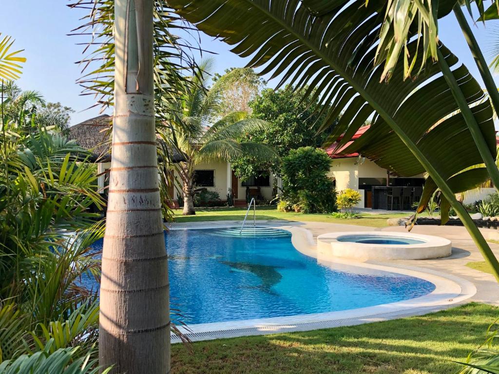 a palm tree next to a swimming pool with a palm tree at Strutz Art Garden Resort in Bangued