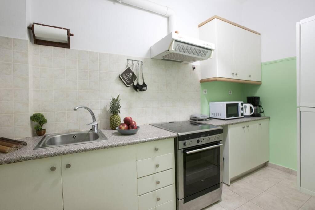 eine Küche mit einer Spüle und einem Herd Top-Backofen in der Unterkunft Two bedroom apartment at Koukaki in Athen